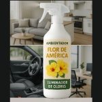 Ambientador Flor de América